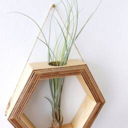 Hexagon Shaped Planter For Wall Made Out Of Wood With Glass Tube - Flowers/Propagation Station Plants Decor Flower Vase - thumbnail 2