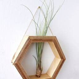 Hexagon Shaped Planter For Wall Made Out Of Wood With Glass Tube - Flowers/Propagation Station Plants Decor Flower Vase - thumbnail 3