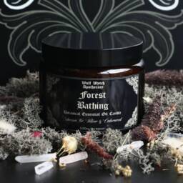 Forest Bathing Candle/Woodland Candle, Vegan Gift, Hedge Witch Crystal Infused - thumbnail 3