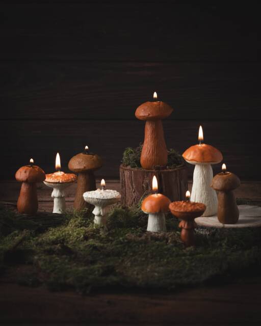 Mushroom Candles, Decoration, Autumn Decor, Home Beeswax Gift For Friend, Forest Candle - image 1
