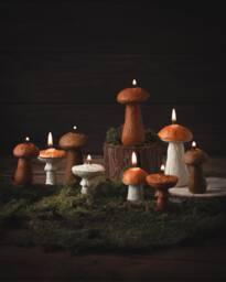 Mushroom Candles, Decoration, Autumn Decor, Home Beeswax Gift For Friend, Forest Candle - thumbnail 1