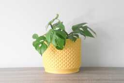 "Carolina Planter With Drainage & Saucer in Yellow, Lattice 3D-Printed Plant Pot, Small To Large Sizes 4"" 5"" 6"" 7"" 8" - thumbnail 1