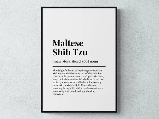 Maltese Shih Tzu Funny Definition Dog Wall Art Print - image 1