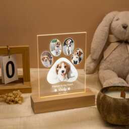 Pet Memorial Night Light, Photo Lover Light, Pet Loss Gifts For Lovers, Pet Photo Gifts, Pet Frame, Cat Dog Gift - thumbnail 3