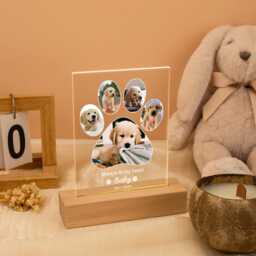 Pet Memorial Night Light, Photo Lover Light, Pet Loss Gifts For Lovers, Pet Photo Gifts, Pet Frame, Cat Dog Gift - thumbnail 4