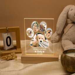 Pet Memorial Night Light, Photo Lover Light, Pet Loss Gifts For Lovers, Pet Photo Gifts, Pet Frame, Cat Dog Gift