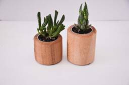 Set Of Succulent Planters, Crafted From Nsw Oak, Indoor Planters, Christmas Gift, Accessories For Office, Desk Decor, Made in Australia