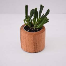 Set Of Succulent Planters, Crafted From Nsw Oak, Indoor Planters, Christmas Gift, Accessories For Office, Desk Decor, Made in Australia - thumbnail 3