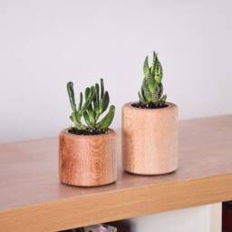 Set Of Succulent Planters, Crafted From Nsw Oak, Indoor Planters, Christmas Gift, Accessories For Office, Desk Decor, Made in Australia - thumbnail 4