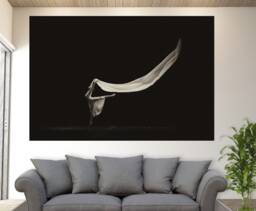 Ballerina Canvas Print, Ballet Wall Art, Gift, Studio Decor