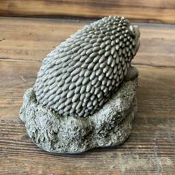 stone Garden Novelty Gift Cute Spiky Hedgehog Ornament - thumbnail 3