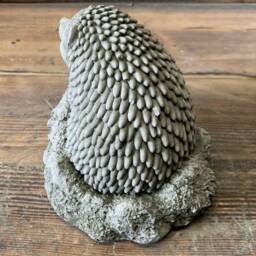 stone Garden Novelty Gift Cute Spiky Hedgehog Ornament - thumbnail 2