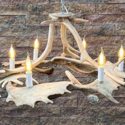 Real White Antler Chandelier in Modern Style - thumbnail 2