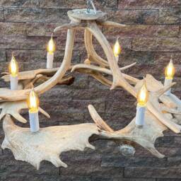 Real White Antler Chandelier in Modern Style - thumbnail 3