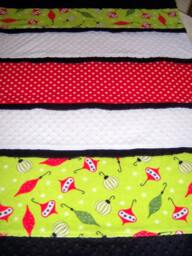 Sale Christmas Ornaments in Red, Greens, Black & White Minky Baby/Toddler Blanket - thumbnail 3