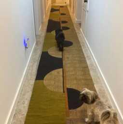 Olive Green/ Black Runner Rug Kilim Cotton Dining Room Hand Block Print Area Stair 3x10 5x10 4x15 Ft