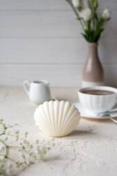 Shell Candle, Seashell Soy Wax White Sea Home Decor, Wedding Gift, Gift Vegan Candle