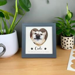Pet Memorial Photo Frame, Personalised Family Pet Heart Picture Frame - thumbnail 2