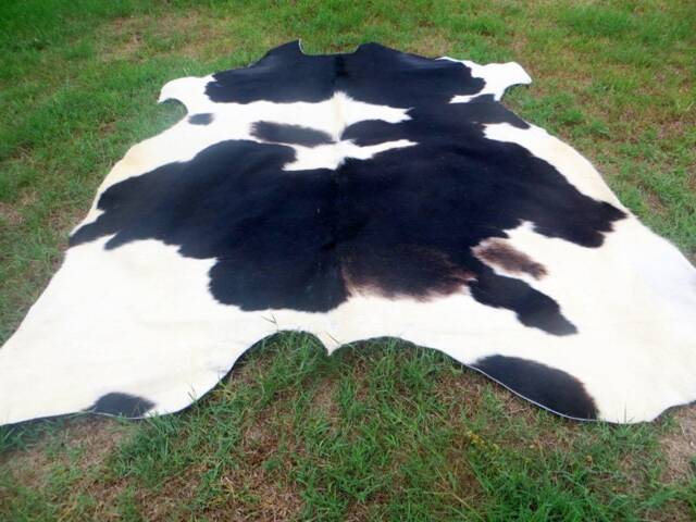 Black & White - Mostly Black Large New Cowhide Rug Natural Hair On - 7x7 Ft Extra Size Tri-Color Brown Tones Soft Carpet Cow Hide 6x6 Bb - image 1
