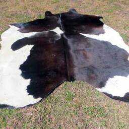 Black & White - Mostly Black Large New Cowhide Rug Natural Hair On - 7x7 Ft Extra Size Tri-Color Brown Tones Soft Carpet Cow Hide 6x6 Bb - thumbnail 2
