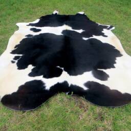 Black & White - Mostly Black Large New Cowhide Rug Natural Hair On - 7x7 Ft Extra Size Tri-Color Brown Tones Soft Carpet Cow Hide 6x6 Bb - thumbnail 4