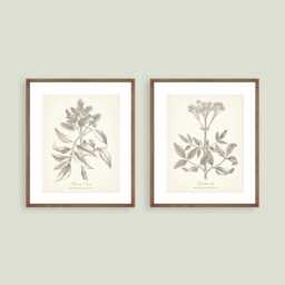 Vintage Style Botanical Prints Set Of 2 Posters Wildflower Print Flower Art Neutral Decor - thumbnail 3