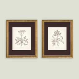 Vintage Style Botanical Prints Set Of 2 Posters Wildflower Print Flower Art Neutral Decor - thumbnail 1