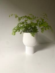 "Tall Modern Planter ""Chalice"