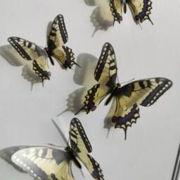 3D Swallowtail Butterfly Wall Decor Removable Flying Butterflies, Set Of 4 - thumbnail 3