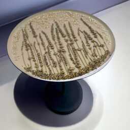 Epoxy Resin Coffee Table - Lavender & Silver Stones Handmade 33 X 43 cm Flower Unique Round Iron Frame Modern Natural Decoration