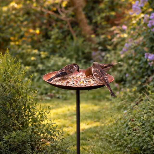 Rusty Metal Bird Feeder - Garden Feeding Platform Station Stake Wildlife Decor - image 1