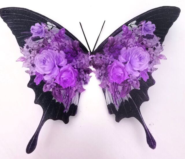 Shabby Chic Lilac Rose Butterfly Wall Art 3D Removable Decals - image 1