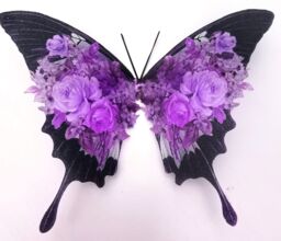 Shabby Chic Lilac Rose Butterfly Wall Art 3D Removable Decals - thumbnail 1