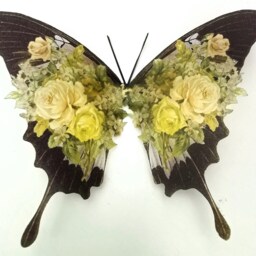 Shabby Chic Lilac Rose Butterfly Wall Art 3D Removable Decals - thumbnail 3