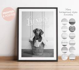 Black & White Print Chocolate Brown Labrador Retriever Dog in A Laundry Basket Print, Funny Bathroom Pet Dog Room Decor - thumbnail 1