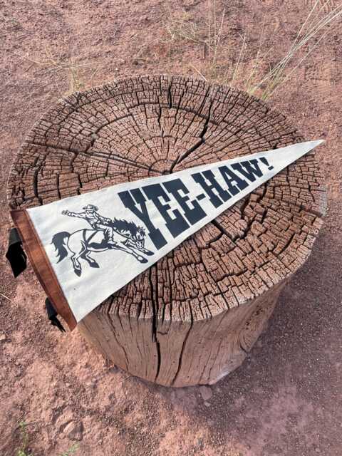 Yee-Haw Cowboy Pennant Flag/Felt Pennant Country Singer Hat Wild West Texas Western Wall Hanging Decor - image 1