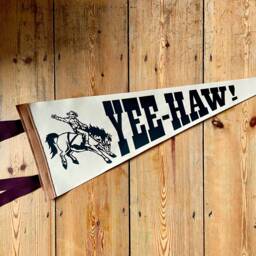 Yee-Haw Cowboy Pennant Flag/Felt Pennant Country Singer Hat Wild West Texas Western Wall Hanging Decor - thumbnail 3