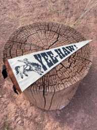 Yee-Haw Cowboy Pennant Flag/Felt Pennant Country Singer Hat Wild West Texas Western Wall Hanging Decor - thumbnail 1