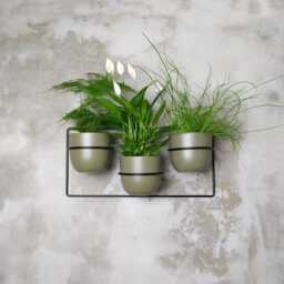 Davallia Wall Metal 3 Plants Hanger, Pflanzenaufh??nger, Kwietnik - thumbnail 2