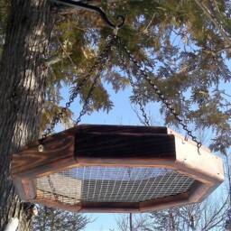 Large Hanging Octagon Platform Bird Or Squirrel Feeder Cedr Wood Tbnup 1lbo - thumbnail 4