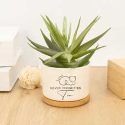 Personalized Cat Memorial Gift Planter, Planter Gift, Pet Plant Pot, Never Forgotten, Loss Of - thumbnail 2