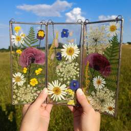 Pressed Poppy Flower Stained Glass Frame Set Of 3, Botanical Wall Art - thumbnail 1