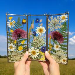 Pressed Poppy Flower Stained Glass Frame Set Of 3, Botanical Wall Art - thumbnail 2