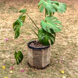 Cute Handmade Planter Trending D??cor Macrame Woven Storage Basket Handwoven Ethical Baskets With Traditional Pattern