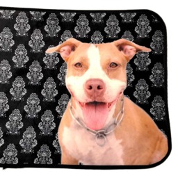 Pit Bull Dog Mat, Anti-Slip Rubber Backing - 15x21 - thumbnail 3