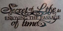 Metal Wall Art, Inspirational Quote, Enjoy The Passage Of Time - thumbnail 1