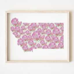 Montana State Flower Map Watercolor Bitterroot - Art Print Wall Graduation Wedding Anniversary Realtor Moving Gift - thumbnail 1