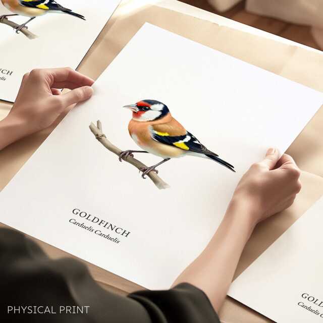 Goldfinch Bird Print, Art Poster, Home Decor, Watercolour Illustrations, Wall Prints - image 1