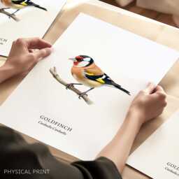 Goldfinch Bird Print, Art Poster, Home Decor, Watercolour Illustrations, Wall Prints - thumbnail 1