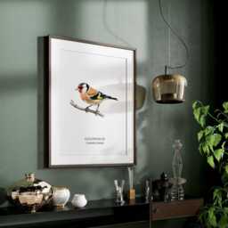 Goldfinch Bird Print, Art Poster, Home Decor, Watercolour Illustrations, Wall Prints - thumbnail 3